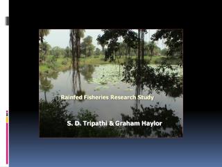 Rainfed Fisheries Research Study