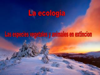 Las especies vegetales y animales en extincion
