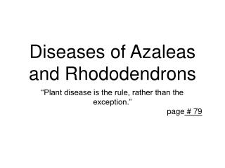 Diseases of Azaleas and Rhododendrons