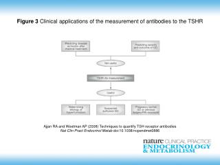 Ajjan RA and Weetman AP (2008) Techniques to quantify TSH receptor antibodies