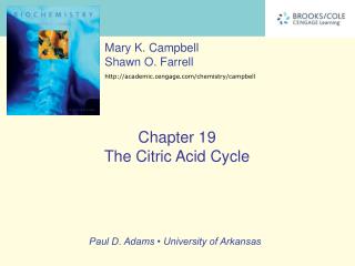 The Central Role of the Citric Acid Cycle