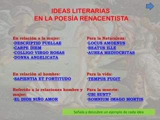 IDEAS LITERARIAS EN LA POESÍA RENACENTISTA