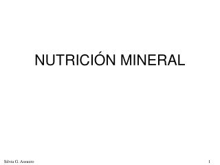 NUTRICIÓN MINERAL