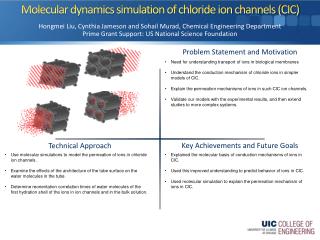 Molecular dynamics simulation of chloride ion channels (CIC)