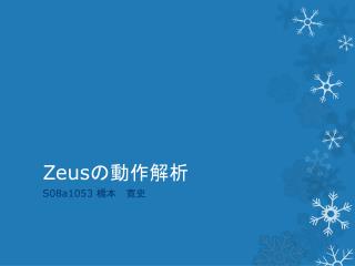 Zeus の動作解析