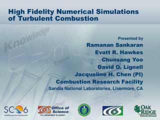 High Fidelity Numerical Simulations of Turbulent Combustion