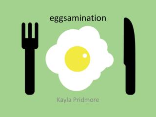 eggsamination