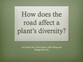 How does the road affect a plant’s diversity?