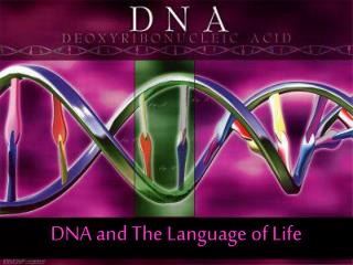 DNA and The Language of Life