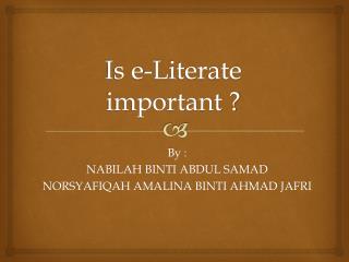 Is e-Literate important ?