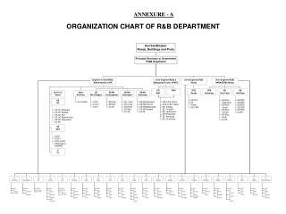 ORGANIZATION CHART OF R&amp;B DEPARTMENT