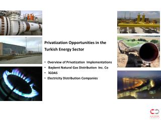 Privatization Opportunities in the Turkish Energy Sector