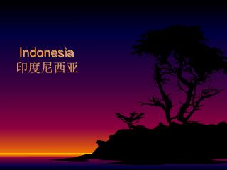 Indonesia 印度尼西亚