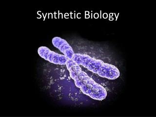 Synthetic Biology