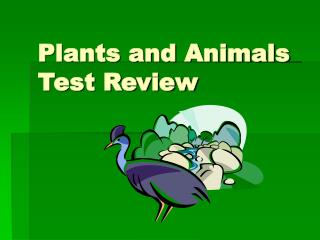 Plants and Animals Test Review