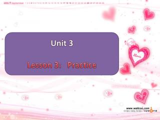 Unit 3 Lesson 3: Practice