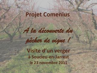 Projet Comenius