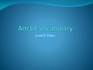 Am Lit Vocabulary