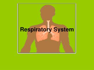 Respiratory System