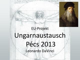 EU-Projekt Ungarnaustausch Pécs 2013 Leonardo DaVinci