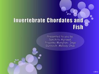 Invertebrate Chordates and Fish