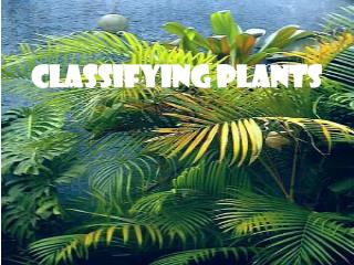 Classifying Plants