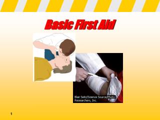 Basic First Aid