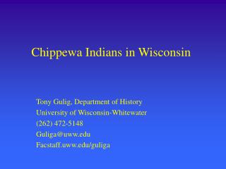 Chippewa Indians in Wisconsin