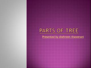 Parts of tree