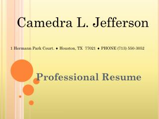 Professional Resume