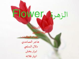 الزهرة Flower