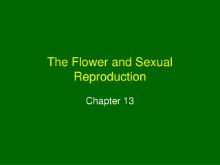 The Flower and Sexual Reproduction