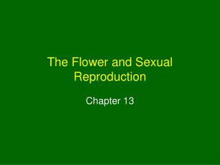 The Flower and Sexual Reproduction