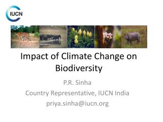 Impact of Climate Change on Biodiversity