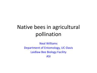 Native bees in agricultural pollination