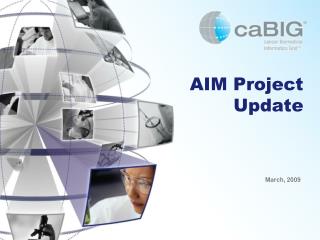 AIM Project Update