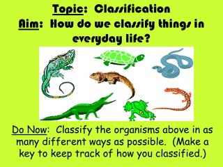 Topic : Classification Aim : How do we classify things in everyday life?