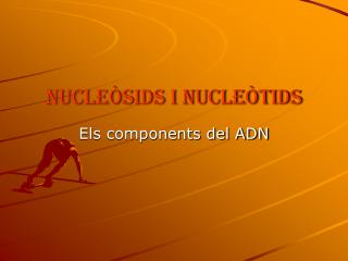 NUCLEÒSIDS I NUCLEÒTIDS