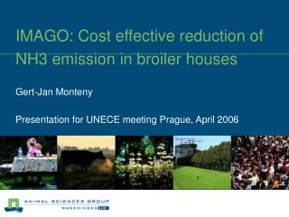 IMAGO: Cost effective reduction of NH3 emission in broiler houses