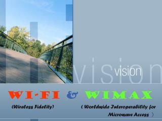Wi-Fi &amp; WIMAX