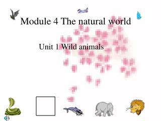 Module 4 The natural world