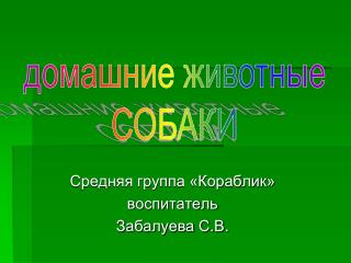 Средняя группа «Кораблик» воспитатель Забалуева С.В.