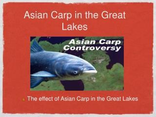 Asian Carp in the Great Lakes