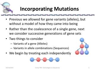 Incorporating Mutations
