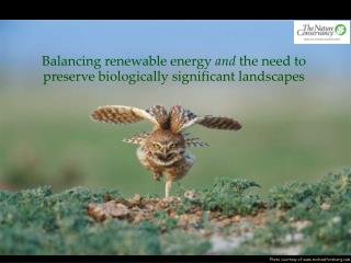 Balancing renewable energy and the need to preserve biologically significant landscapes