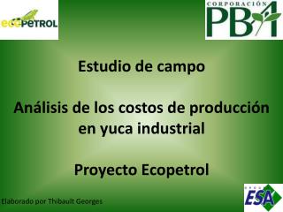 Estudio de campo Análisis de los costos de producción en yuca industrial Proyecto Ecopetrol