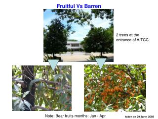 Fruitful Vs Barren