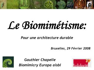 Le Biomimétisme:
