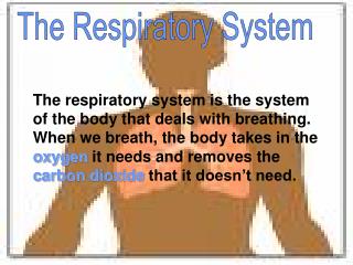 The Respiratory System