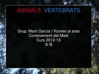 ANIMALS VERTEBRATS